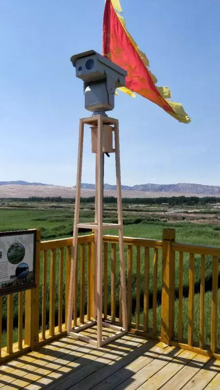 5_270_1398904_451_800.jpg.webp 5_270_1398904_451_800.jpg.webp